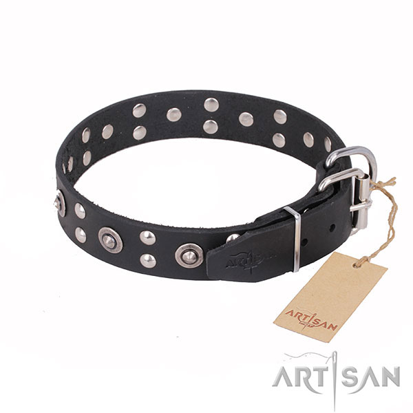 Fashionable leather collar for your darling dog