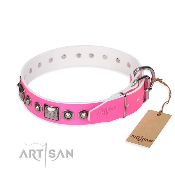 Durable leather collar for your stunning four-legged friend