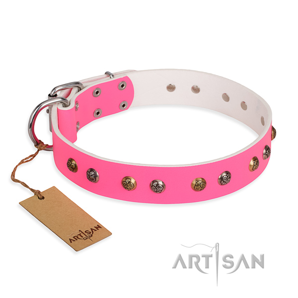 Practical leather collar for your favourite four-legged friend