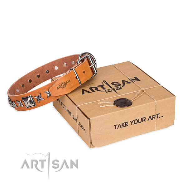 Impressive full grain genuine leather dog collar for daily use