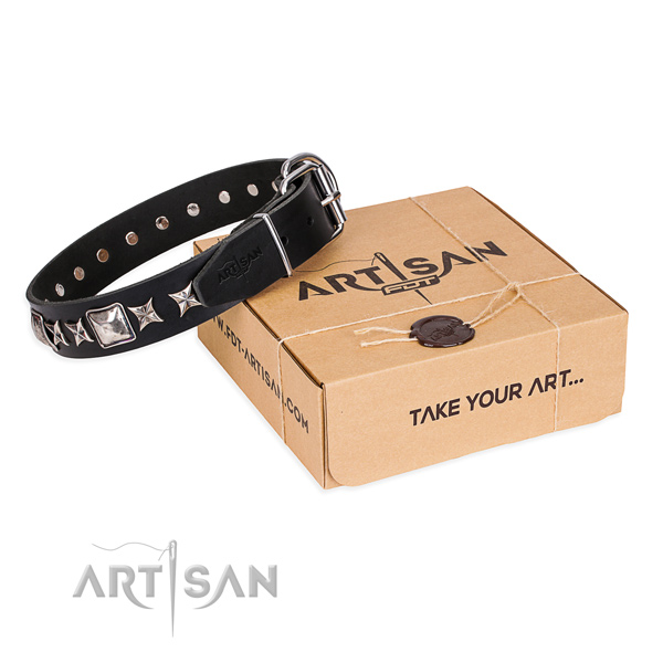 Finest quality genuine leather dog collar for walking