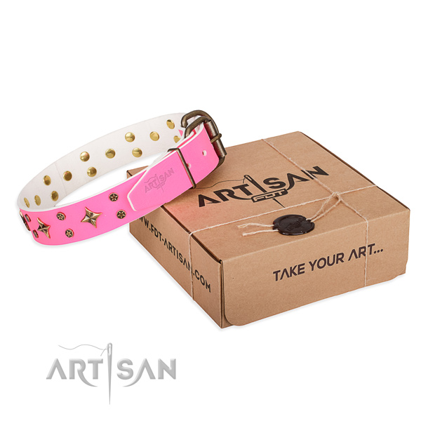 Incredible leather dog collar for everyday use