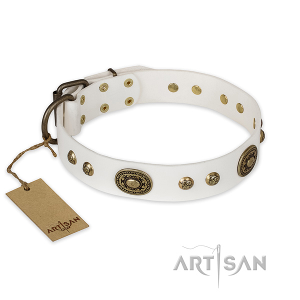 Unique design studs on full grain leather dog collar