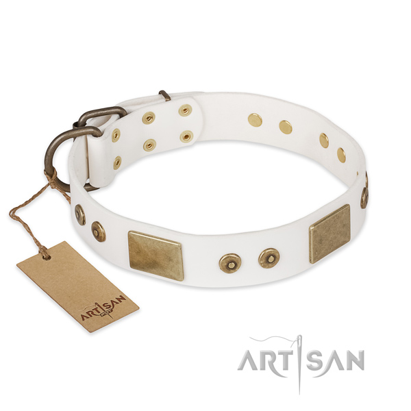 Stunning design embellishments on full grain natural leather dog collar