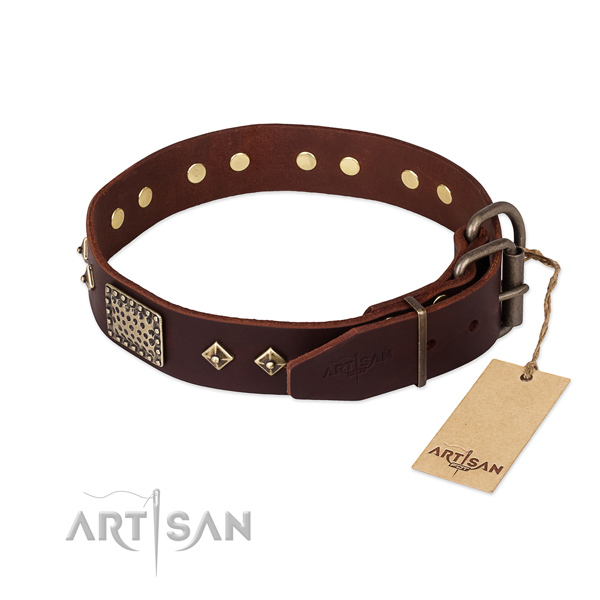 Everyday use full grain leather collar with embellishments for your four-legged friend