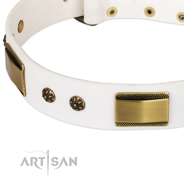 Walking genuine leather collar with corrosion proof buckle and D-ring