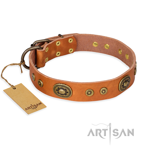 Resistant leather dog collar with reliable hardware