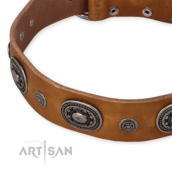 Snugly fitted leather dog collar with extra strong durable buckle and D-ring