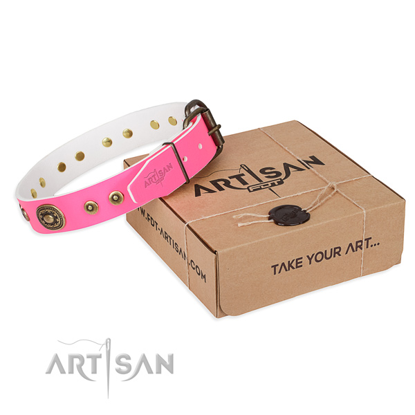 Designer leather dog collar for daily walking