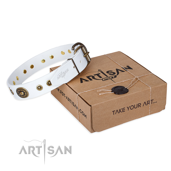 Top notch full grain natural leather dog collar for walking in style