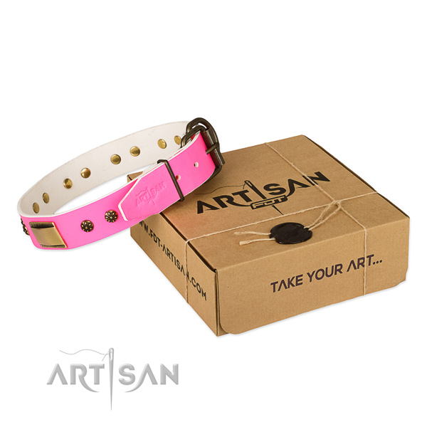 Stylish genuine leather dog collar for everyday walking