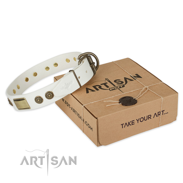High quality genuine leather dog collar for everyday use