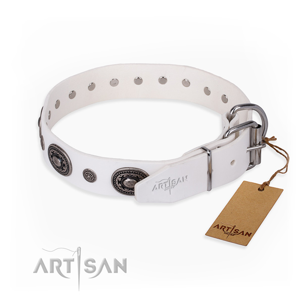 Functional leather collar for your handsome dog