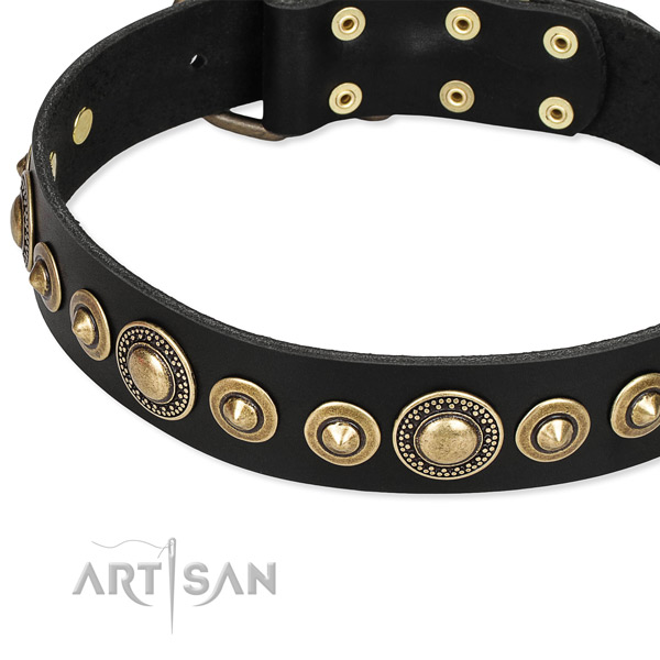Adjustable leather dog collar with extra sturdy rust-proof fittings