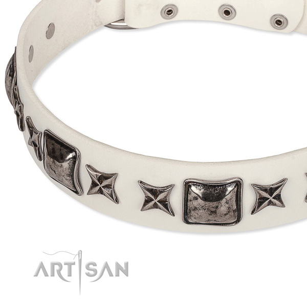 Adjustable leather dog collar with extra sturdy chrome plated fittings