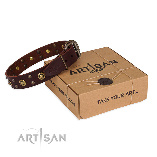 Perfect fit leather dog collar for everyday use