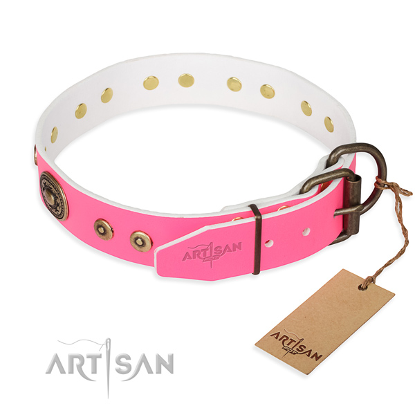 Fashionable leather collar for your gorgeous four-legged friend