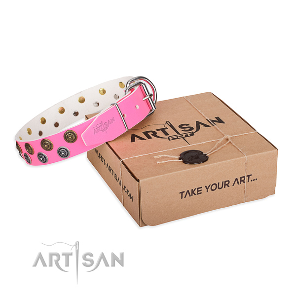 Impressive leather dog collar for everyday walking
