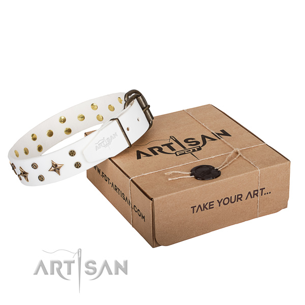 Trendy genuine leather dog collar for stylish walks