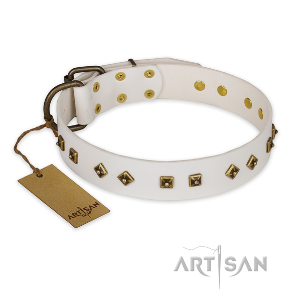 Impressive design adornments on leather dog collar