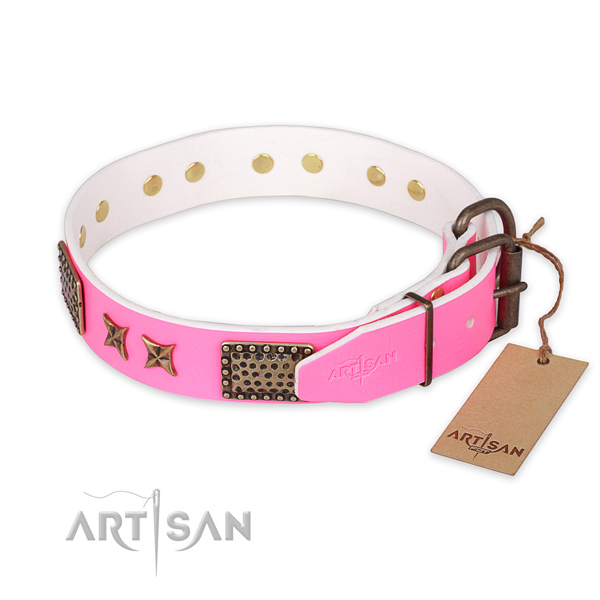 Daily walking leather collar with studs for your doggie