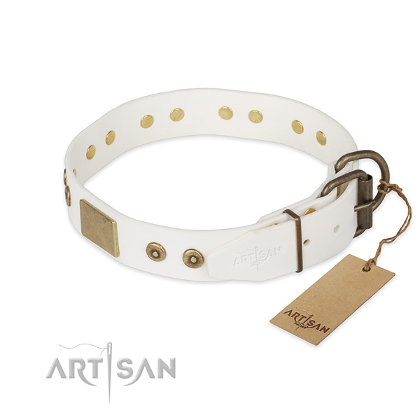 Everyday walking full grain genuine leather collar with studs for your pet