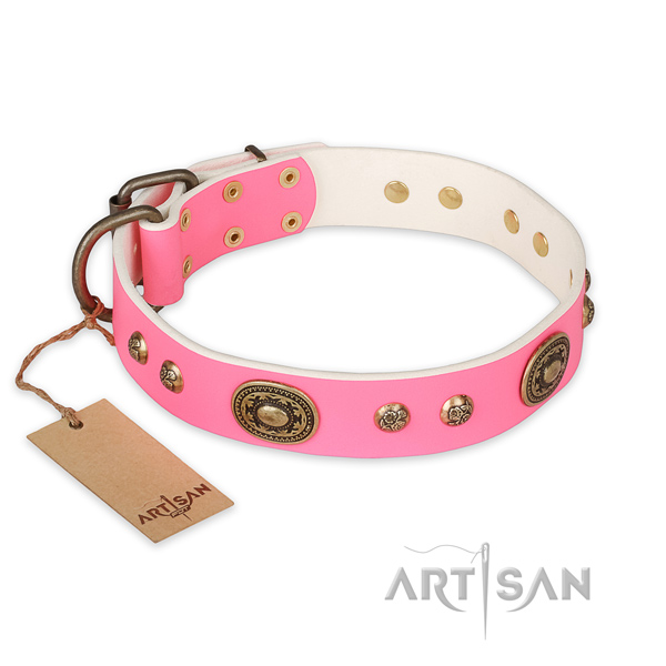 Daily walking full grain genuine leather collar with adornments for your four-legged friend