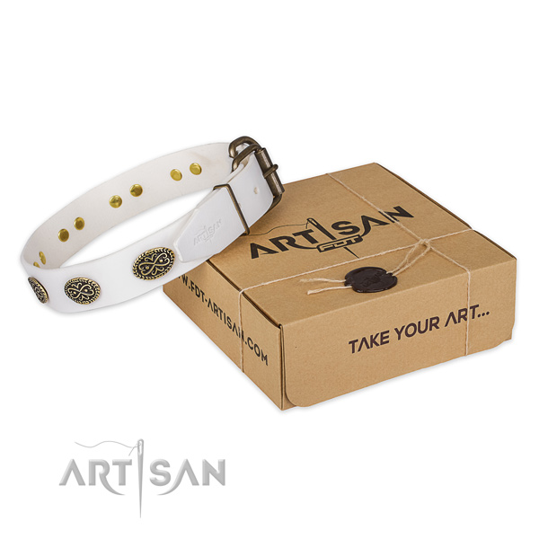 Top notch full grain genuine leather dog collar for everyday use