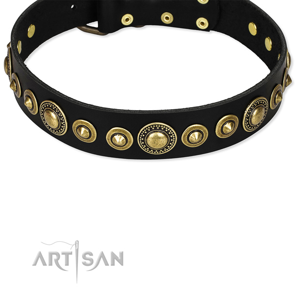 Durable leather dog collar with riveted hardware