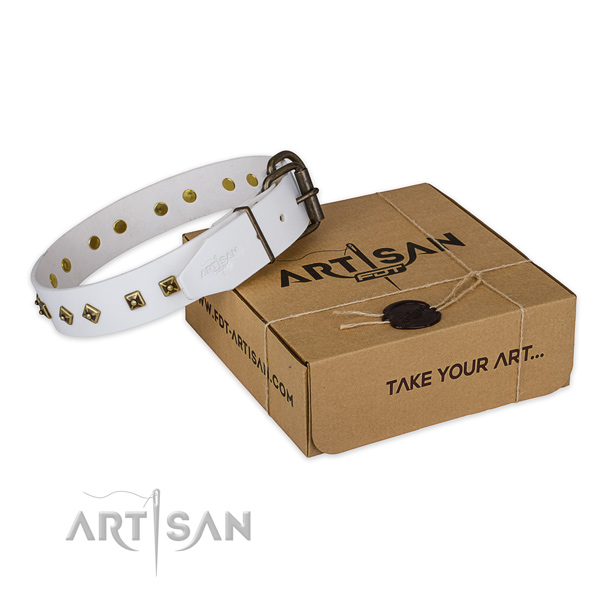 Impressive full grain leather dog collar for everyday use