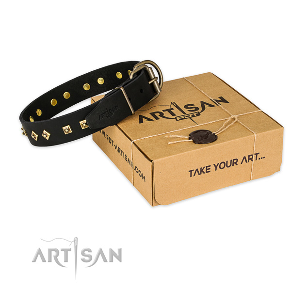 Top notch full grain genuine leather dog collar for stylish walks