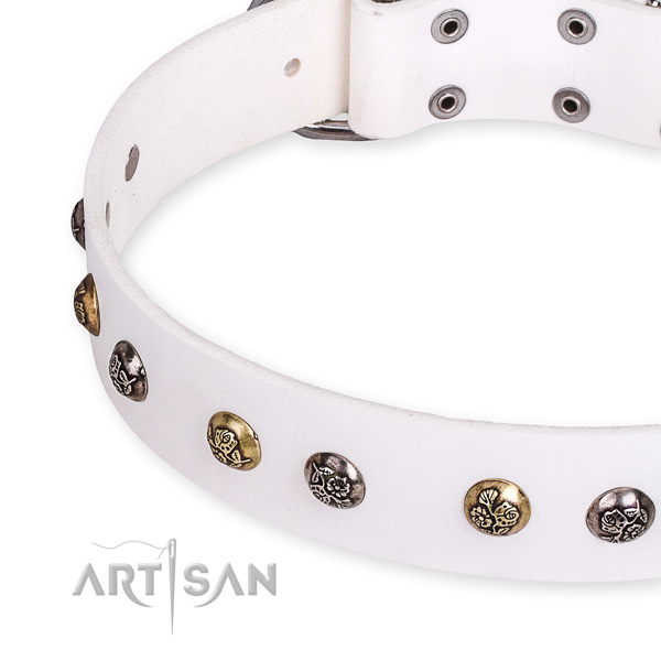 Easy to adjust leather dog collar with resistant to tear and wear non-rusting buckle