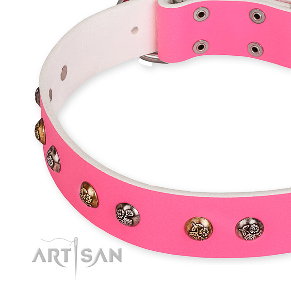 Snugly fitted leather dog collar with resistant non-rusting set of hardware