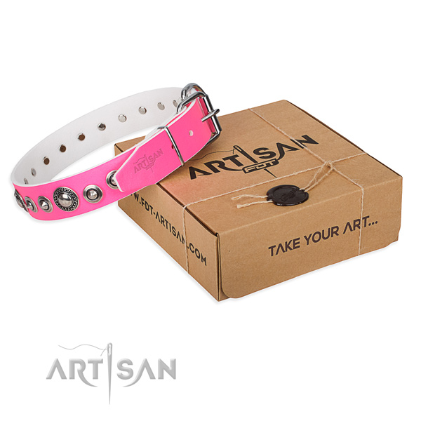 Impressive full grain leather dog collar for walking