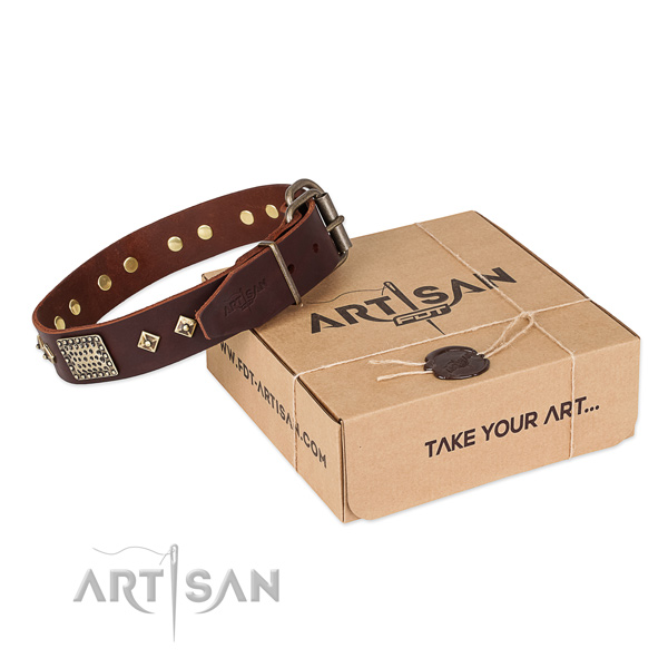 Trendy full grain leather dog collar for walking