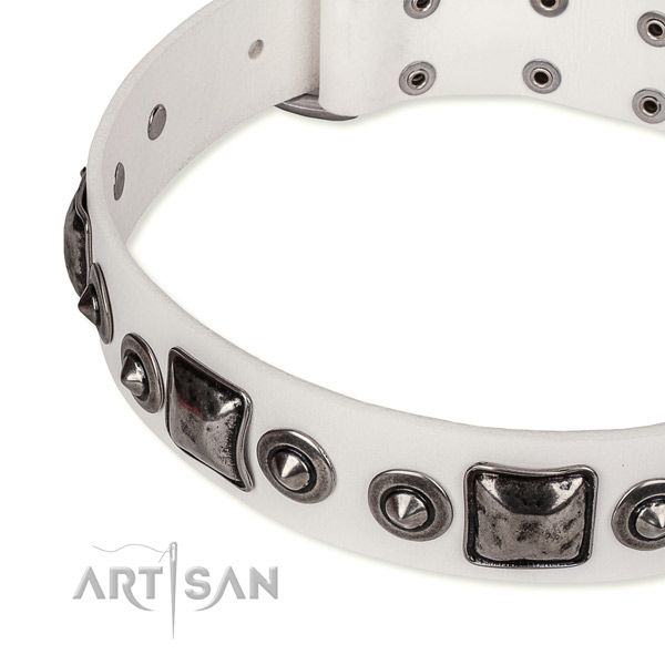 Quick to fasten leather dog collar with resistant to tear and wear non-rusting set of hardware