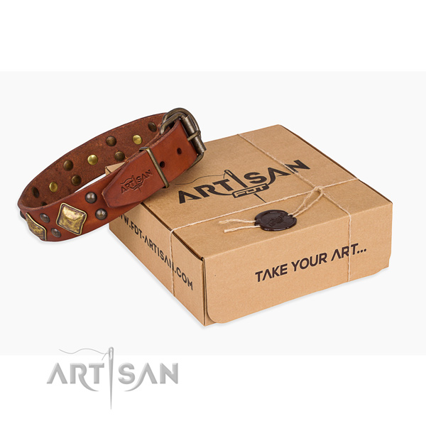 Top quality genuine leather dog collar for stylish walks