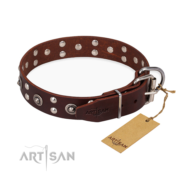 Everyday leather collar for your favourite dog