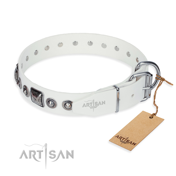 Functional leather collar for your darling dog