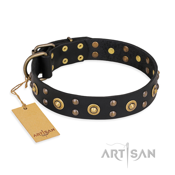 Inimitable design studs on genuine leather dog collar