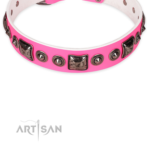 Dependable leather dog collar with reliable fittings