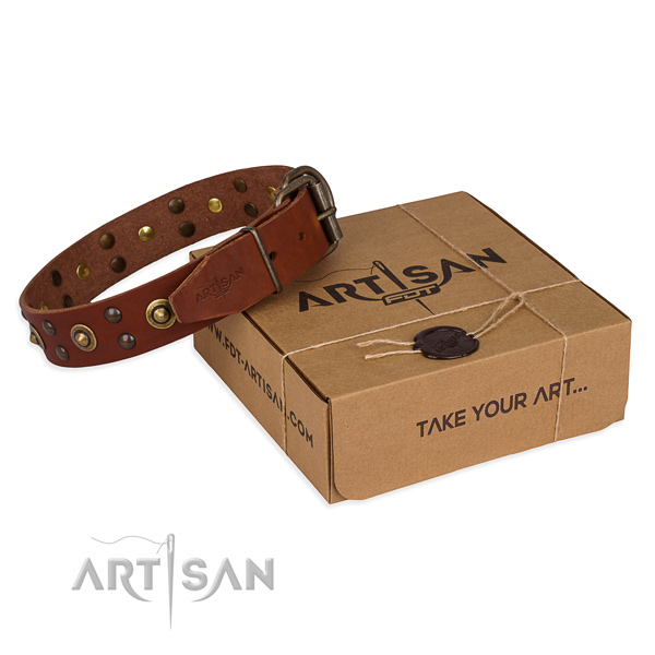 Fashionable leather dog collar for daily use