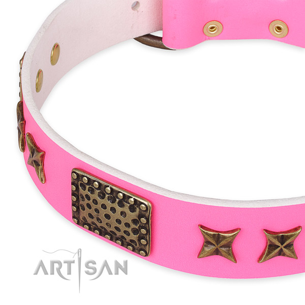 Adjustable leather dog collar with resistant non-rusting set of hardware