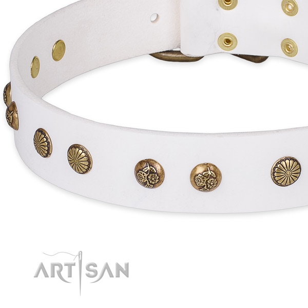 Snugly fitted leather dog collar with extra strong non-rusting hardware