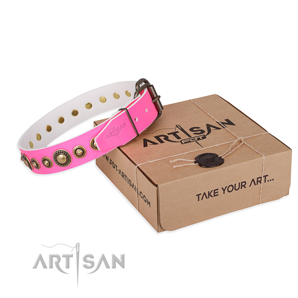 Fashionable full grain leather dog collar for daily walking