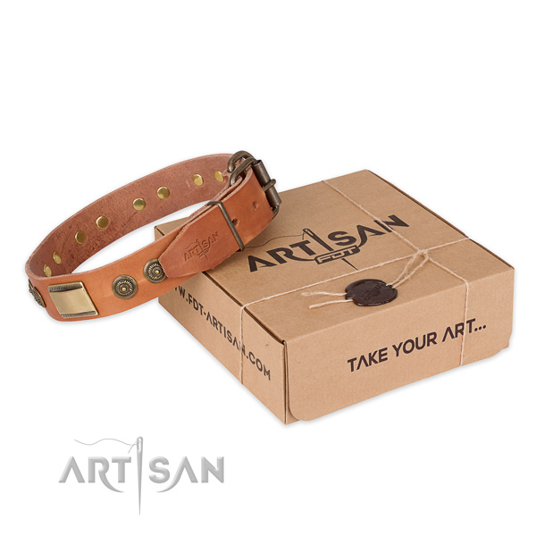 Designer natural genuine leather dog collar for everyday  use