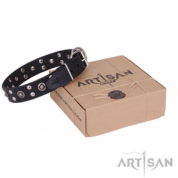 Incredible full grain leather dog collar for walking