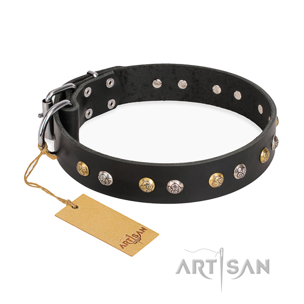 Stylish leather collar for your darling four-legged friend