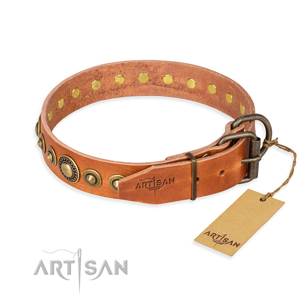 Everyday leather collar for your elegant canine