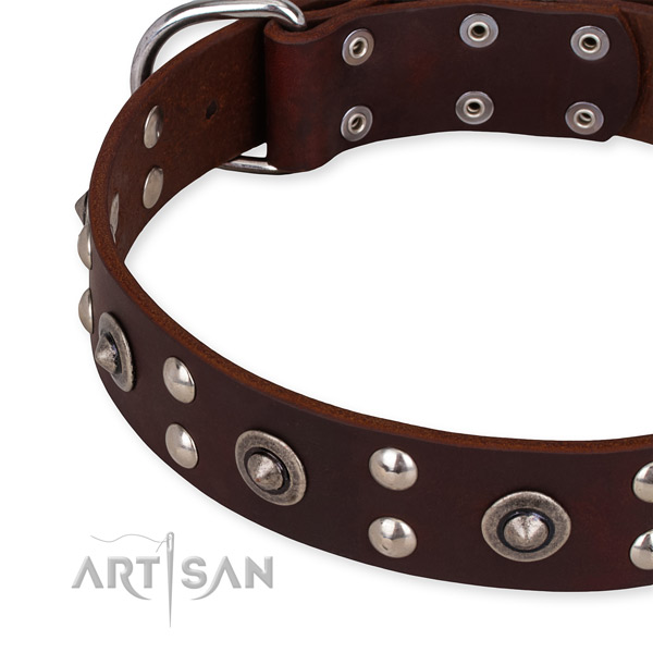 Easy to adjust leather dog collar with resistant non-rusting buckle and D-ring